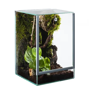 Produktbild von Terrarium aus Glas 15x15x20 cm mit Falltür für Spinnen