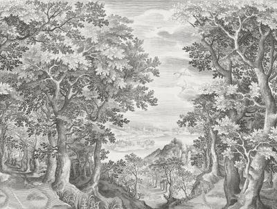 Produktbild von Sanders & Sanders Fototapete Wald Schwarz-Weiß 371 x 280 cm