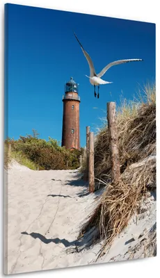 Produktbild von Wallario Premium Leinwandbild Möwe am Strand mit Leuchtturm in Größe 60 x 90 cm