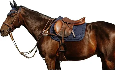 Produktbild von Norton Equestrian 5 Points Vorderzeug Braun Full Braun Full