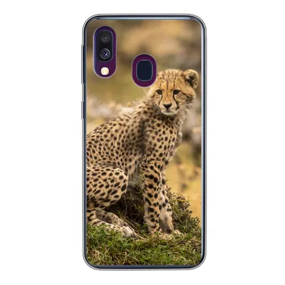 Produktbild von MuchoWow® Handyhülle Schutzhülle Hülle für Samsung Galaxy A40 Leopard - Wald - Tier Silikon Softcase Handy Hülle - Handy-Tasche
