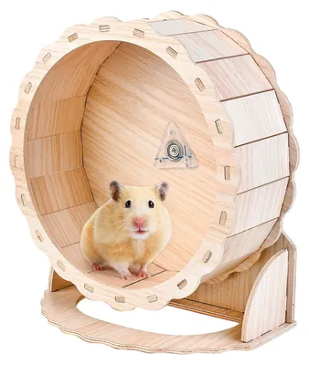 Produktbild von Hamsterlaufrad Laufrad Holzlaufrad - Ø 23 cm - Holz - Leise Kugellager - Nagersicher