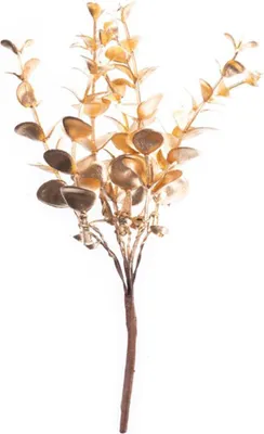 Produktbild von Weihnachtszweig, Eukalyptus, Gold, 15 cm