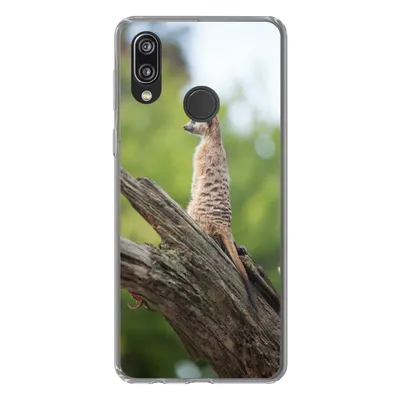 Produktbild von MuchoWow® Handyhülle Schutzhülle Hülle für Huawei P20 Lite (2020) Erdmännchen - Ast - Baum Silikon Softcase Handy Hülle - Kartenhalter