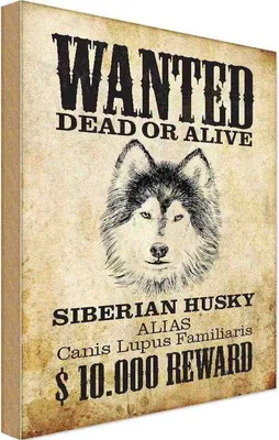Produktbild von vianmo Holzschild 18x12 cm Hund wanted Siberian Husky Tier Haustier