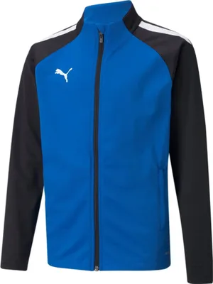 Image de Sweats Puma Teamliga Poly 65723502
