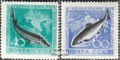 Produktbild von Briefmarken Sowjetunion 1959 Mi 2244-2245 (kompl.Ausg.) gestempelt Fischarten