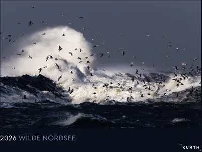 Produktbild von Wilde Nordsee - KUNTH Wandkalender 2026
