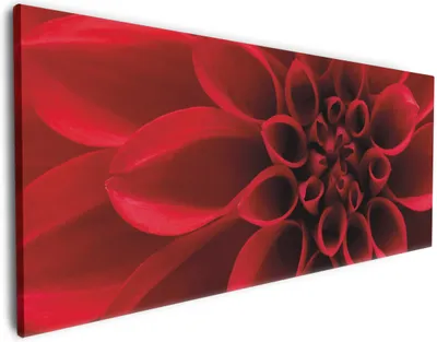 Produktbild von Wallario Premium Leinwandbild Rote Dahlienblüte in Nahaufnahme in Größe 50 x 125 cm
