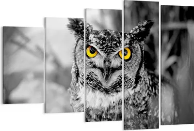 Produktbild von Bild auf Leinwand - Leinwandbild - Eule Vogel Natur - 150x100cm - Wand Bild - Wanddeko - Leinwanddruck - Bilder - Kunstdruck - Wanddekoration - Leinwand bilder - Wandkunst - EG150x100-1318