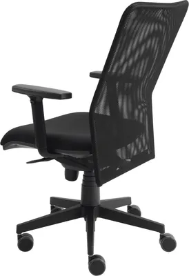 Image de Siège de bureau pivotant Premium 2 à dossier en résille noir