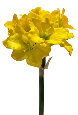 Immagine prodotto di Clayre & Eef, fiore artificiale, giallo, plastica