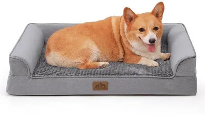 Image de Lit orthopédique pour chien, taille moyenne, imperméable, en mousse, housse amovible