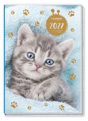 Produktbild von TRÖTSCH - Taschenkalender A7 Katze 2027