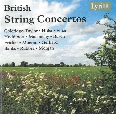 Produktbild von Various: British String Concertos