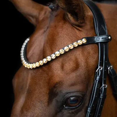 Produktbild von Imperial Riding Stirnriemen Stirnband IRHGrande Gold, Größe:Full