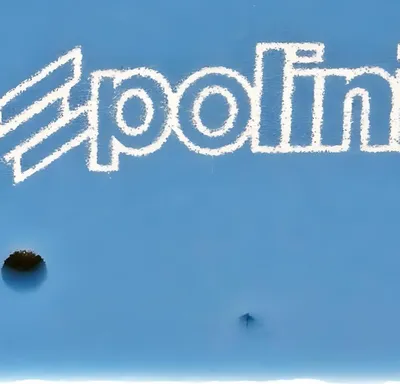 Produktbild von Polini Luftfilter Einsatz kompatibel mit Minarelli liegend 50ccm