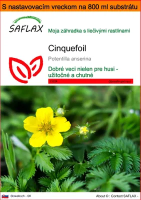 Obrázok produktu pre SAFLAX Garden in the bag - cinquefoil - Potentilla anserina - 20 Semená - S pestovateľským substrátom v praktickom samostaviteľnom vrecku