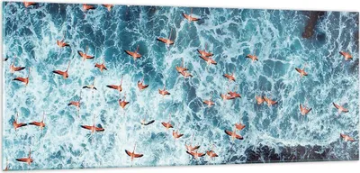 Produktbild von Bilder auf glas - Einteilig - Flamingos Karibik Vögel - 100x40cm - Glasbilder - Wandbilder - Bilder - zum Aufhängen bereit - Wanddekoration aus Glas - Glas Bilder - Wandbild auf Glas - GAB100x40-5013