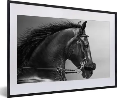 Produktbild von MuchoWow® Gerahmtes Poster Pferde - Schwarz - Porträt - Tiere 60x40 cm - Poster mit Schwarzem Bilderrahmen Wandposter Rahmen Foto Bilder - Schlafzimmer - Plakat in Rahmen - Drucken