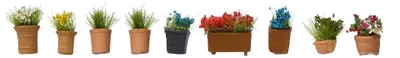 Sierplanten, fertiges Modell, mehrfarbig, Kunststoff, 1 St.
