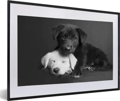 Produktbild von MuchoWow® Gerahmtes Poster Hunde - Welpe - Schwarz - Weiß - Tiere 60x40 cm - Poster mit Schwarzem Bilderrahmen Wandposter Rahmen Foto Bilder - Schlafzimmer - Plakat in Rahmen - Drucken