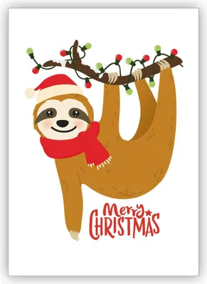 Produktbild von Coole humorvolle Weihnachtskarte mit Faultier: Merry Christmas