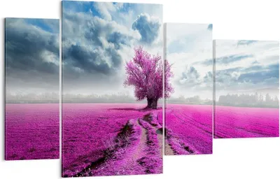Produktbild von Bild auf Leinwand - Leinwandbild - Heidefeld Baum Wolken Landschaft - 120x70cm - Wand Bild - Wanddeko - Leinwanddruck - Bilder - Kunstdruck - Leinwand bilder - Wandkunst - DL120x70-2547
