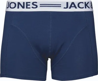 Zdjęcie produktu dla Spodnie Jack & Jones Trunks Sense