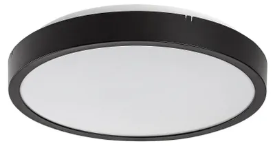 Image de Rabalux 71435 Panneau LED Alenzo LED 12 plastique plastique noir