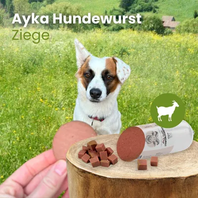Produktbild von Ayka Hundewurst Ziege 1 Stück 400g