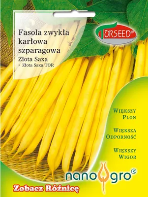 Produktbild von Gelbe Zwergbohne Golden Saxa NANO- Torseed