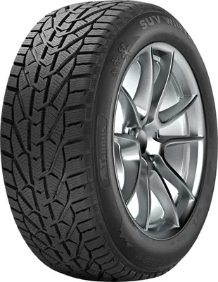 Produktbild von Tigar Tigar Winter 225/50R17 98V Xl
