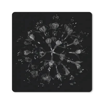 Produktbild von MuchoWow® Mauspad Mousepad Blume - Lila - Blau - Makro - Schwarz 30x30 cm - Mousepads - Maus Mat - Pad - Mausunterlage - Gaming