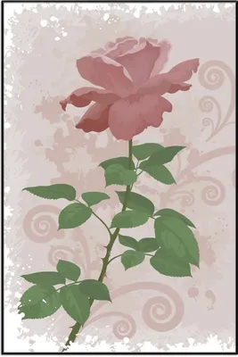 Produktbild von Wallario Wandbild Rose in Pastellfarben gezeichnet, Größe: 61 x 91,50 cm, Poster mit schwarzem Aluminiumrahmen