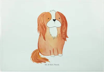 Produktbild von Mr. & Mrs. Panda Schneidebrett Hund Cavalier King Charles Spaniel - Weiß - Geschenk, Schlappohren, Sprüche, Cockerspaniel, Spruch, Glasbrett, Schneideunterlage, Hackbrett
