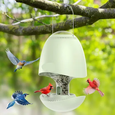 Productafbeelding van Vogeldrinksysteem - Vogelvoederhuis - Vogelvoederautomaat - Vogelfeeder - Vogelvoederplek