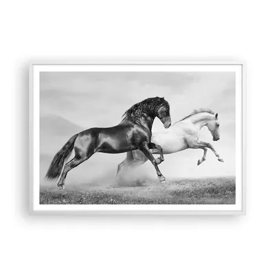 Produktbild von Gerahmtes Poster - Weißer Rahmen - Pferde Tiere Galopp Wiese - 100x70 cm - Wand Bild - Wanddeko - Wandbilder - Wandposter - Bilderrahmen - Bilder - Kunstdruck - Wandbild - P2WAA100x70-2683