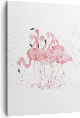 Produktbild von Bild auf Leinwand - Leinwandbild - Einteilig - Flamingo Vogel Wasser - 50x70cm - Wand Bild - Wanddeko - Wandbilder - Leinwanddruck - Wanddekoration - Leinwand bilder - Wandbild - PA50x70-3899