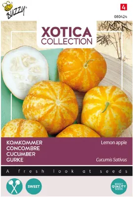 Produktbild von Buzzy Xotica Salatgurke Lemon Apple Samen - Ca. 2 gr | Buzzy_080424