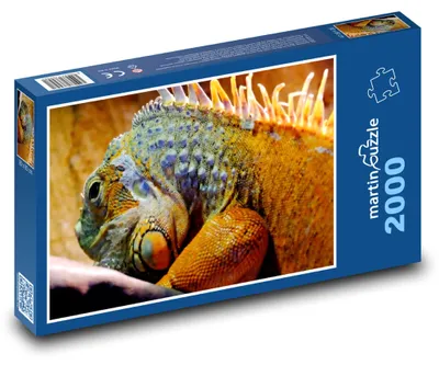 Obrázek produktu pro martinpuzzle - Puzzle 2000 - Leguán - plaz
