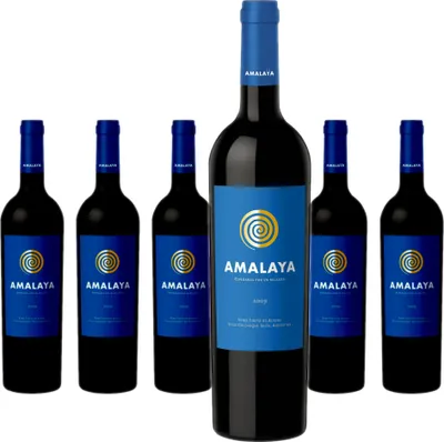 Produktbild von 6 x Amalaya Tinto (Malbec)