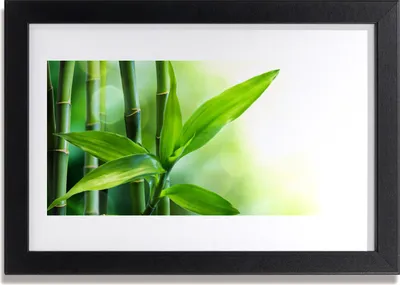 Produktbild von Bild 30x20 MDF-Rahmen Wandkunst Bambusblatt Natur Pflanze