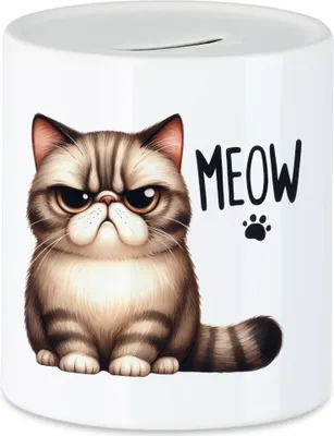 Produktbild von Meow Katze Grumpy Spardose Lustig Geschenkidee für Katzenliebhaber