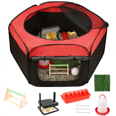 Image de Solidchoice - Boîte d'élevage pour poussins