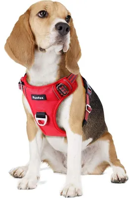 Immagine prodotto di Imbracatura per cani, colore rosso, taglia M, regolabile, antistrappo, con maniglia e strisce riflettenti, traspirante
