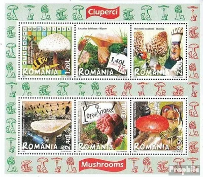 Produktbild von Briefmarken Rumänien 2008 Mi Block417 (kompl.Ausg.) postfrisch Pilze