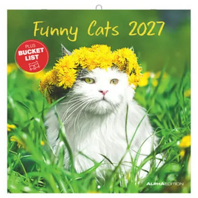 Image de Chats rigolos 2027