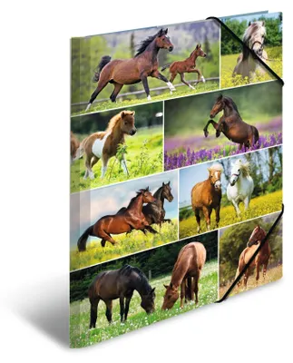 Productafbeelding van HERMA verzamelmappen A3, paardendesign, set van 3 stuks, kartonnen kindermappen met hoekverstevigingen