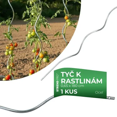 Image de Tuteur GS1 1800/6,5 mm, spirale, fil de fer, zinc, de support pour plantes et tomates 5 pièces